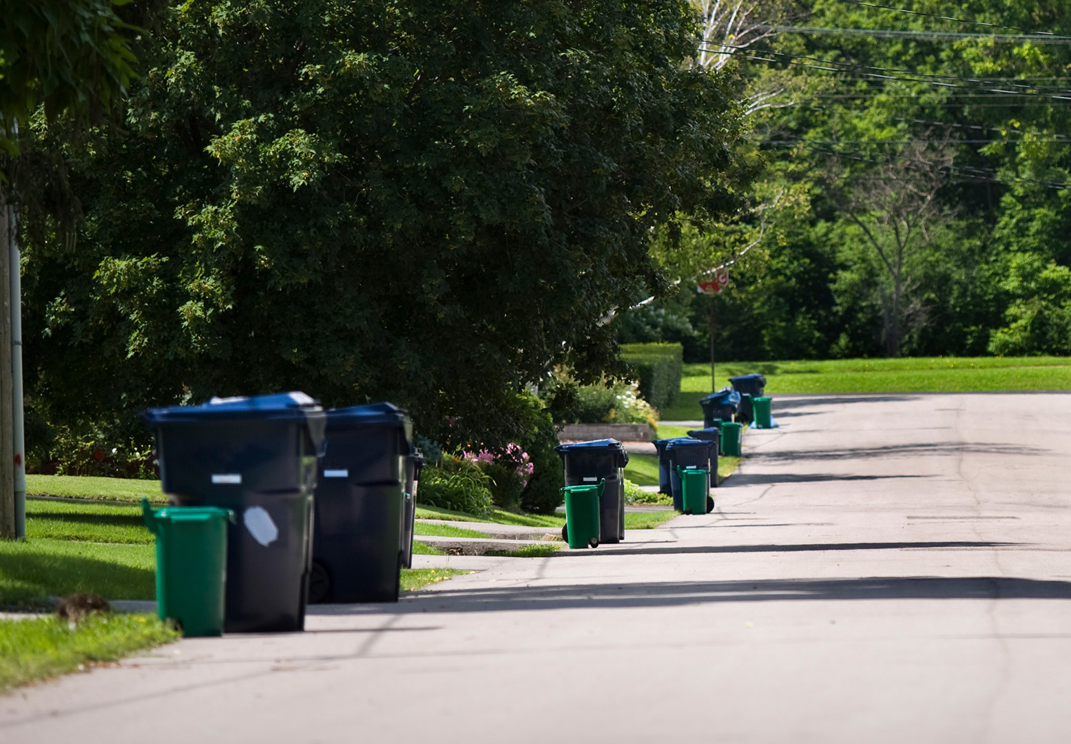 Dumpster Rental Edmonton & Fort McMurray, AB Collective Waste